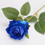 10 Head Rose Bouquet - Image 2